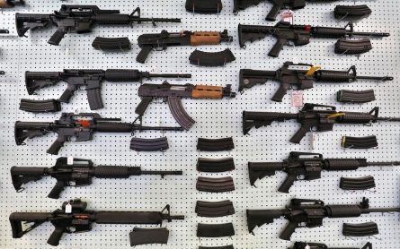 Are Democrats doing enough on gun control?